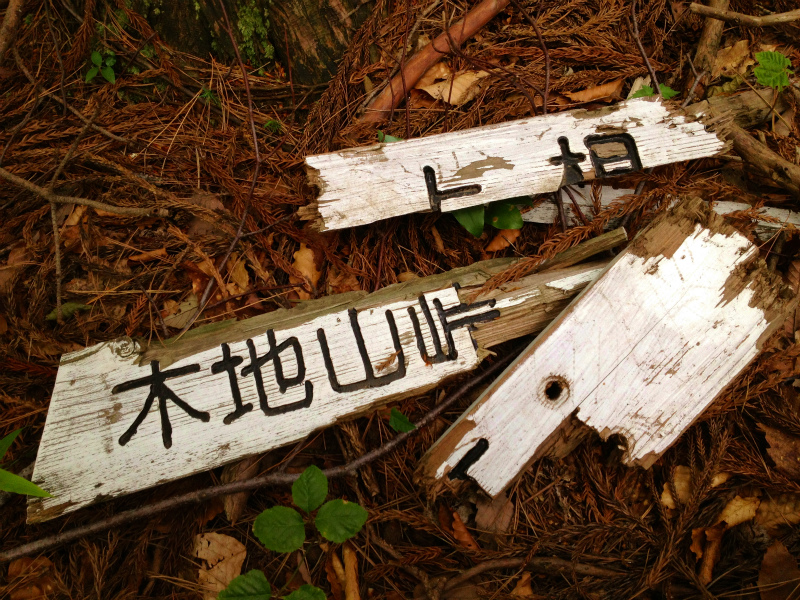 2013/06/18-19 青葉山ー百里ヶ岳ー三十三間山トレイルランニング_b0220886_17562941.jpg