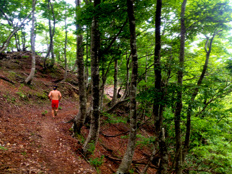 2013/06/18-19 青葉山ー百里ヶ岳ー三十三間山トレイルランニング_b0220886_1824025.jpg