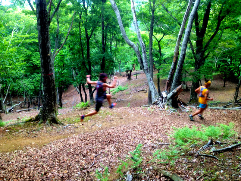 2013/06/18-19 青葉山ー百里ヶ岳ー三十三間山トレイルランニング_b0220886_1825182.jpg