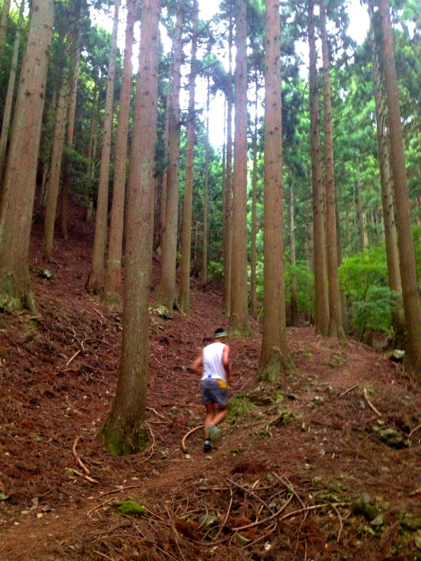 2013/06/18-19 青葉山ー百里ヶ岳ー三十三間山トレイルランニング_b0220886_1865564.jpg