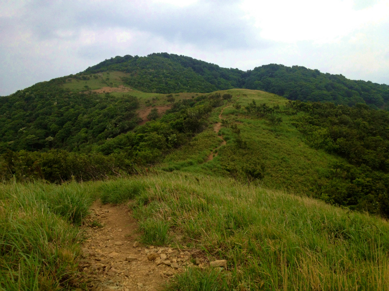 2013/06/18-19 青葉山ー百里ヶ岳ー三十三間山トレイルランニング_b0220886_1871391.jpg