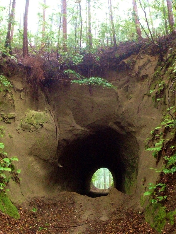 千葉県大塚山トレイルランニング_b0220886_959897.jpg