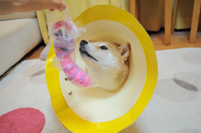 テーピングは難しい_a0126590_22172830.jpg
