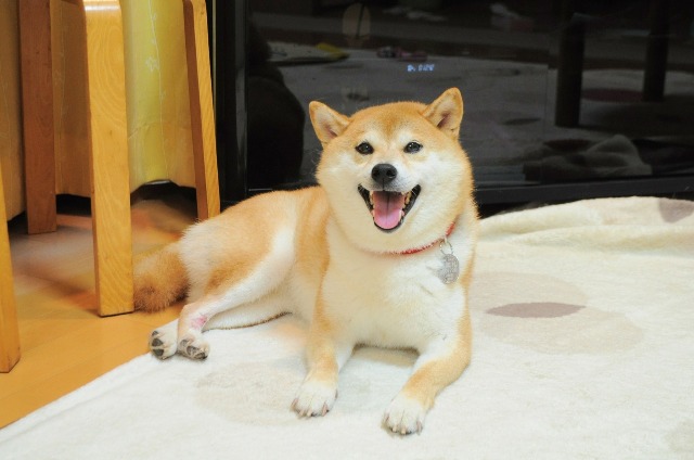テーピングは難しい_a0126590_2220099.jpg