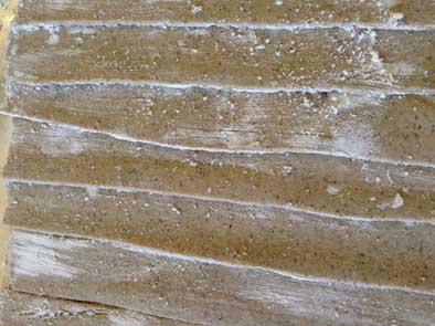 e0016791_1504717.jpg