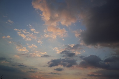 b0119493_040531.jpg