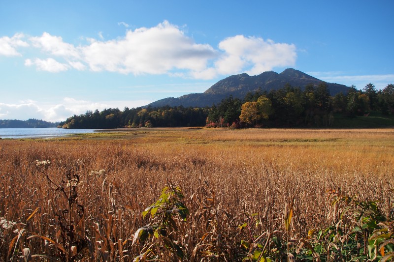 10月7日沼山峠～尾瀬沼_a0293295_11575258.jpg