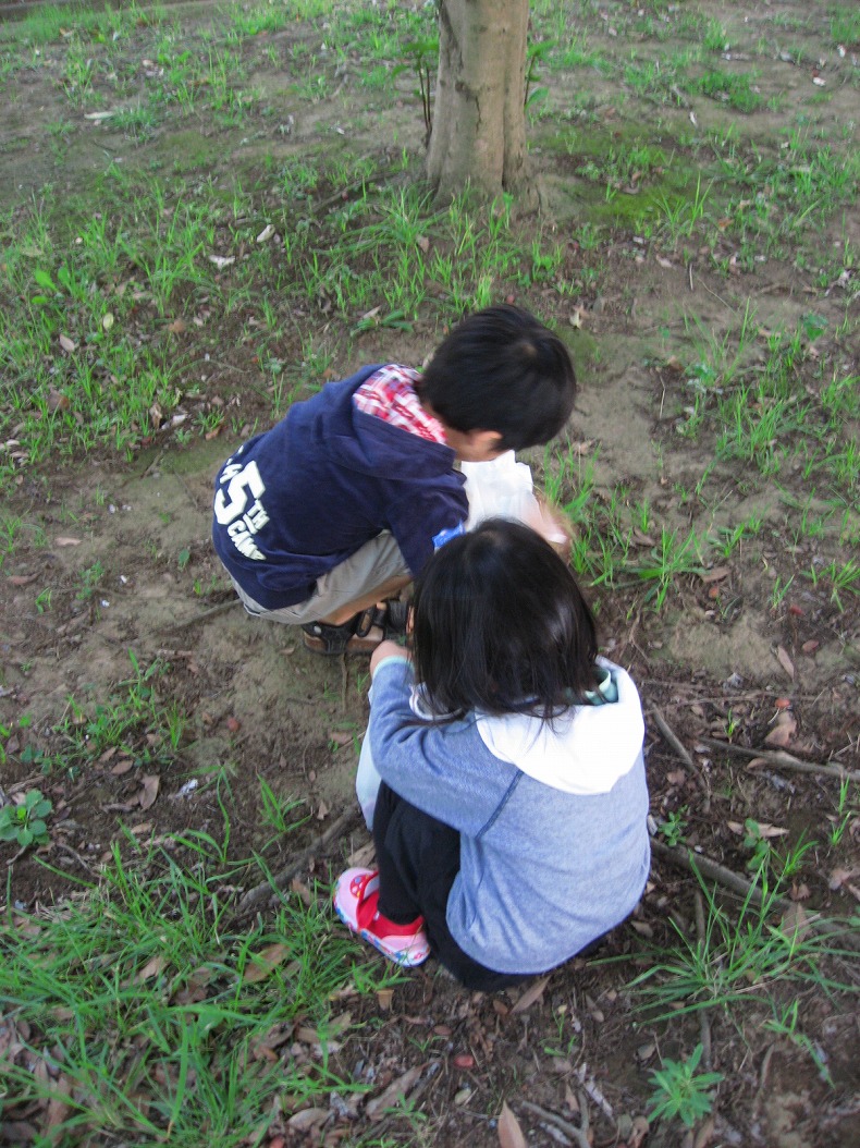 c0204298_178829.jpg