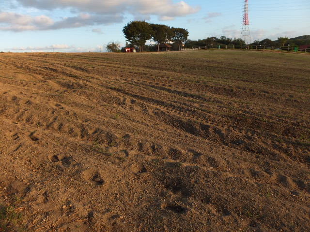 a0271502_20102990.jpg