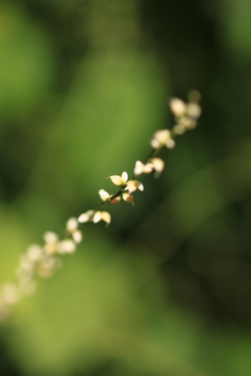 d0248502_14204291.jpg