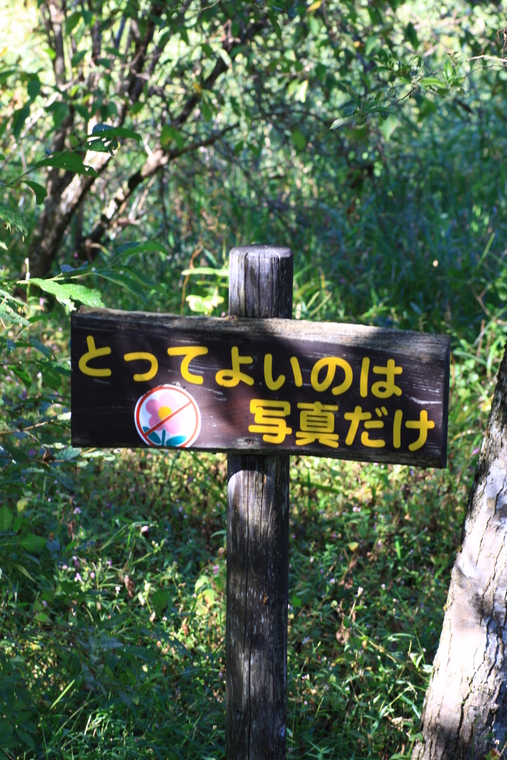 d0248502_14225381.jpg