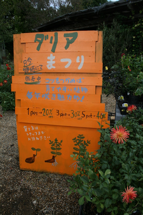 a0139007_1856976.jpg