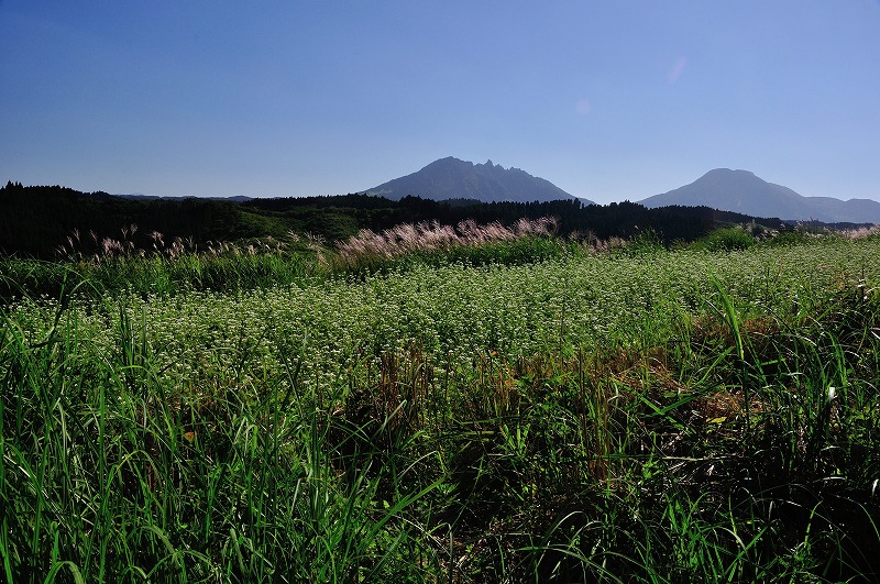 七ツ森古墳　　９月16日_f0083611_1165271.jpg