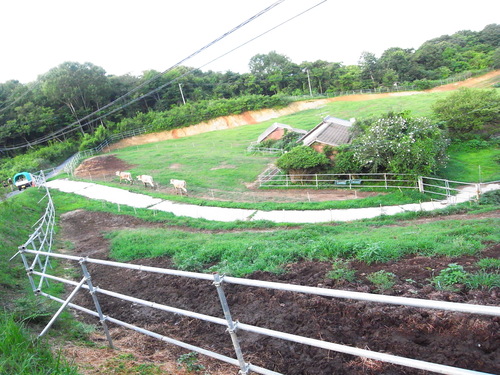 「吉田牧場」という生き方。_c0116714_18335755.jpg