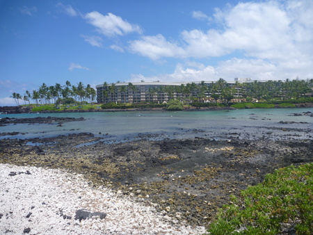 e0256814_1531135.jpg