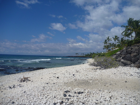 e0256814_15414232.jpg