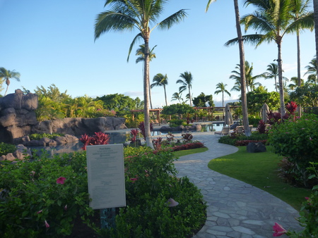 e0256814_16174084.jpg