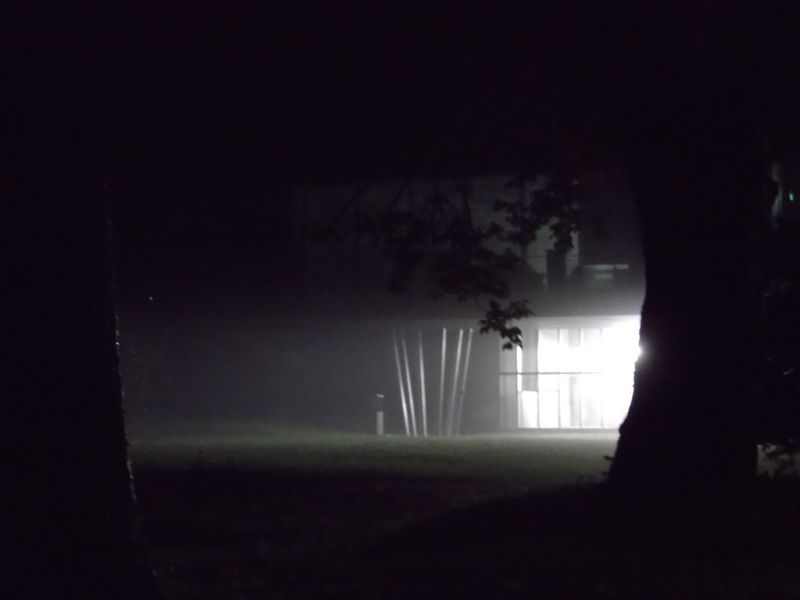 雨の一日_c0025115_23123826.jpg