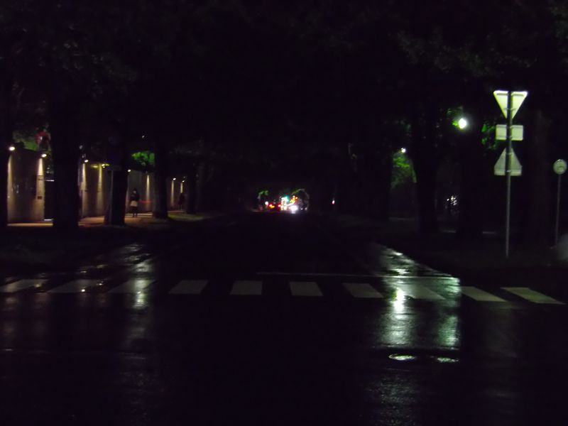 雨の一日_c0025115_231244100.jpg