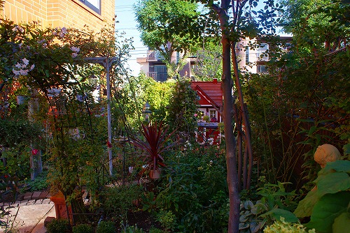 f0170524_1026348.jpg