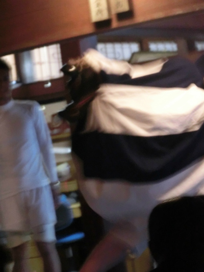祭りのごっつぉと国中の獅子返し_e0061225_15404393.jpg