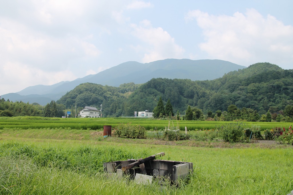 万葉集その四百四十五(葛城古道　朝妻)_b0162728_7515662.jpg