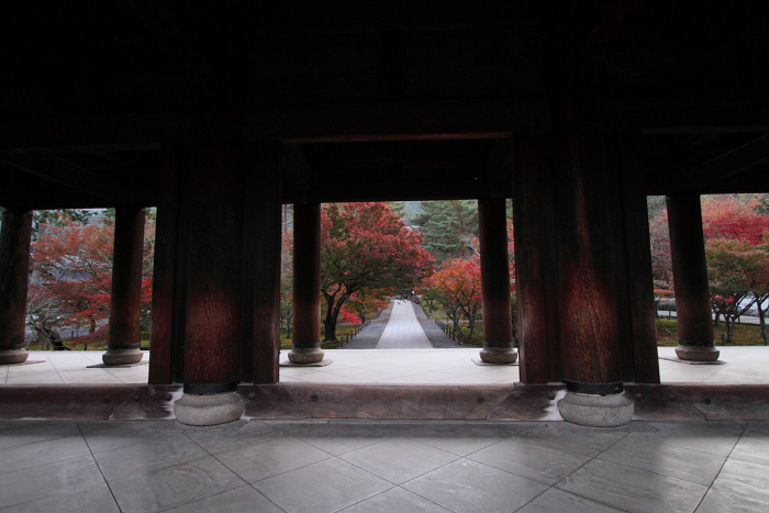 紅葉の南禅寺・哲学の路 －南禅寺（前編）－_b0169330_2313405.jpg