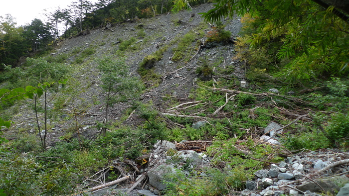 北岳登山〜登り〜_e0155231_0445333.jpg