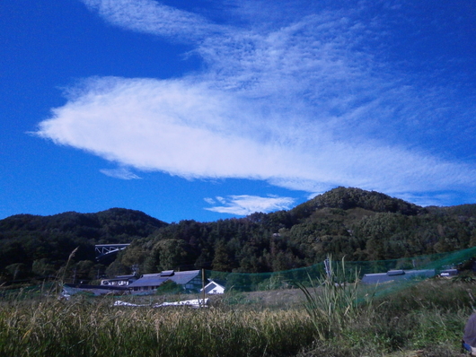 a0206732_19331320.jpg