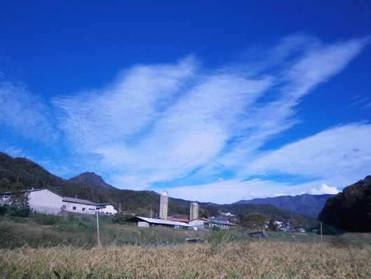 a0206732_19333027.jpg