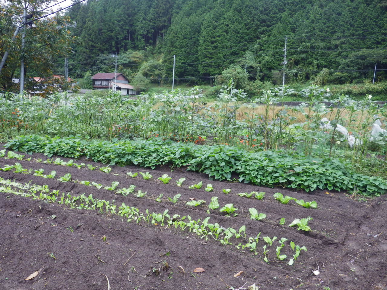 c0300035_12593469.jpg