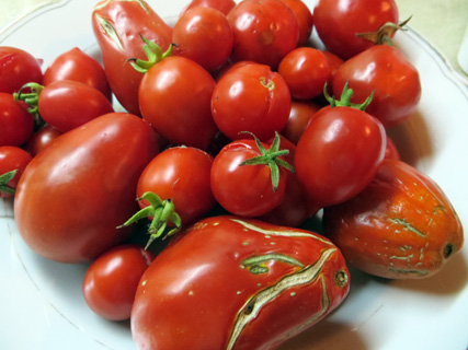トマト実験 日に干せば摘んだトマトも赤くなる_f0234936_6334361.jpg