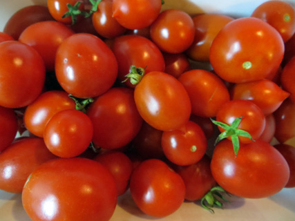 トマト実験 日に干せば摘んだトマトも赤くなる_f0234936_634223.jpg