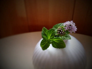 b0190640_21285193.png