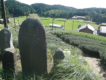 f0156359_2062616.jpg