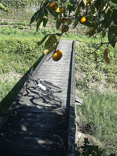 f0156359_2071244.jpg