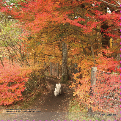 2014年ウェスティカレンダー_b0107163_1315357.jpg