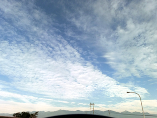 d0198667_827016.jpg
