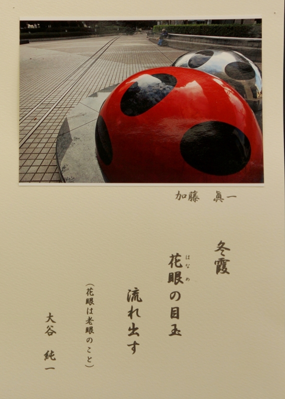 13年10月11日・フォト575_c0129671_1963340.jpg