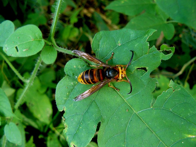 d0019074_81021.jpg