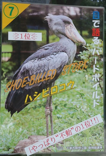 千葉市動物公園_b0260581_15124192.jpg