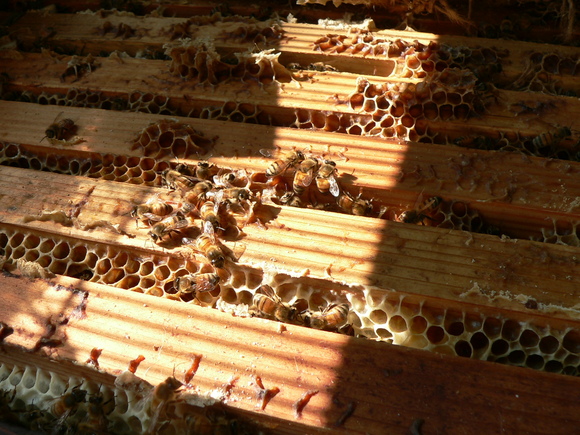f0185981_22515791.jpg