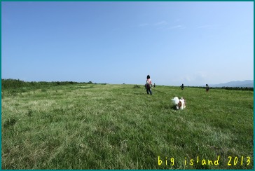 d0044986_2258390.jpg