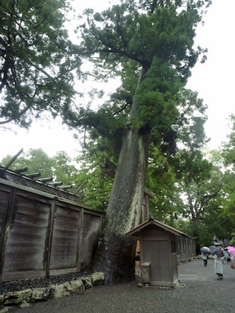 弾丸 伊勢神宮お参りの旅No.2　伊勢神宮 外宮を参拝！_e0194987_22513284.jpg