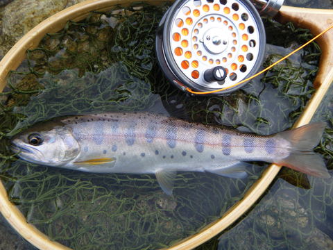 b0304294_2243394.jpg
