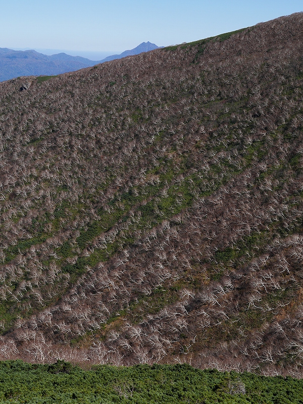 10月10日、ホロホロ山と徳舜瞥山－その1－_f0138096_13564364.jpg