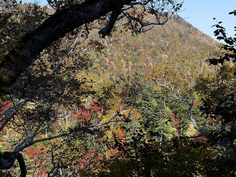  10月10日、ホロホロ山と徳舜瞥山－その2－_f0138096_22571090.jpg