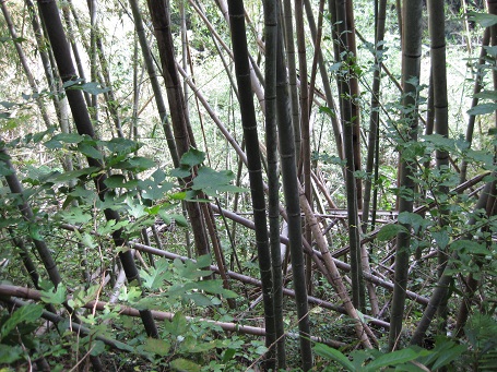 e0147297_15551598.jpg