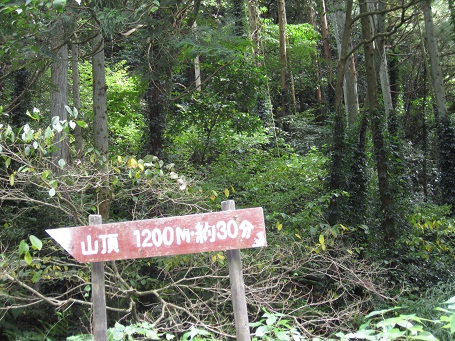 e0147297_160538.jpg