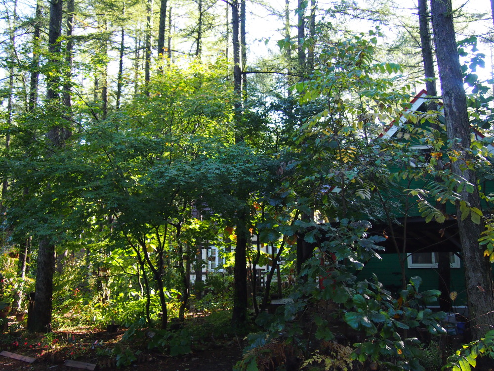 f0276498_00666.jpg